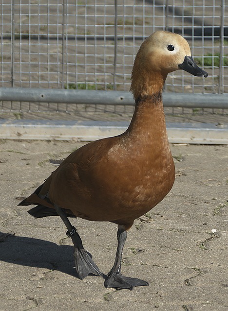 联系