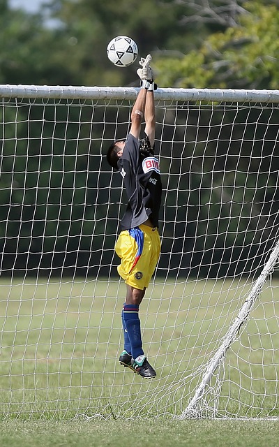 赞助商的视 赞助商的视