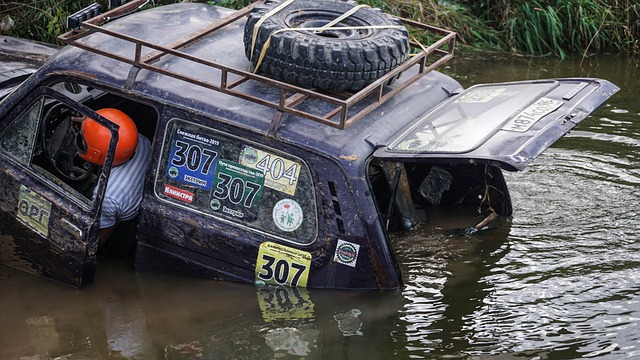 许多杰出的 许多杰出的
