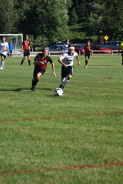 是团队成功 是团队成功