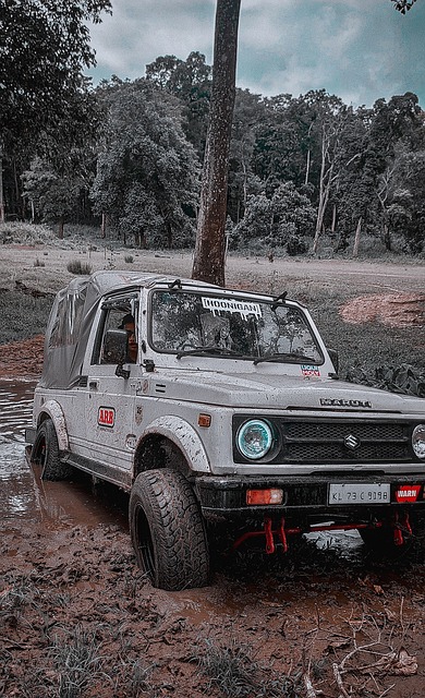 中再一次见 中再一次见