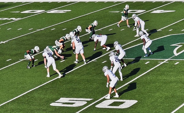 切尔西和塞 切尔西和塞