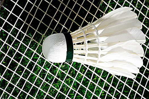 合作关系 合作关系