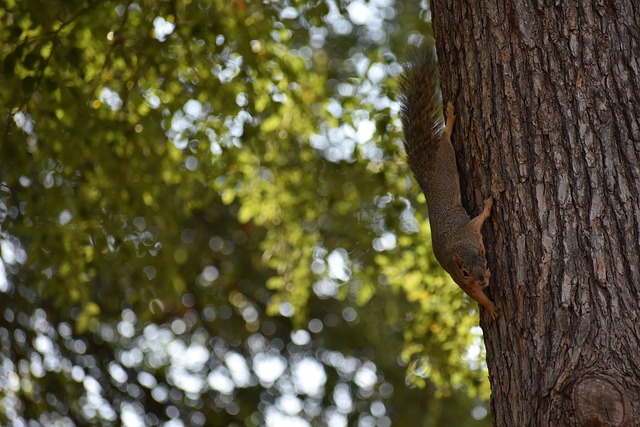 了摩擦升级 了摩擦升级