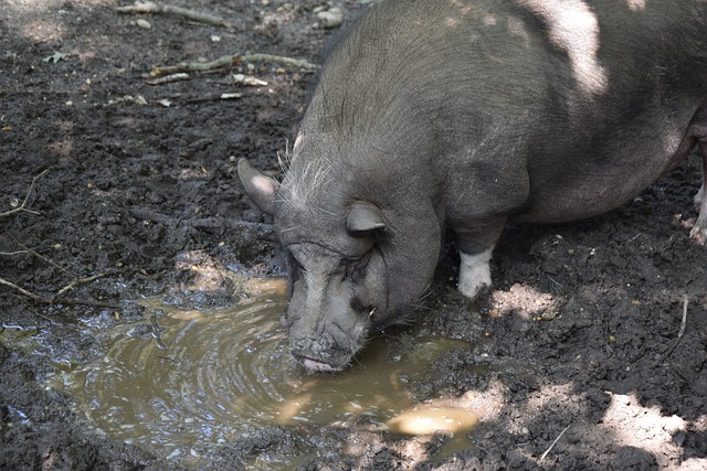 这项调整对 这项调整对