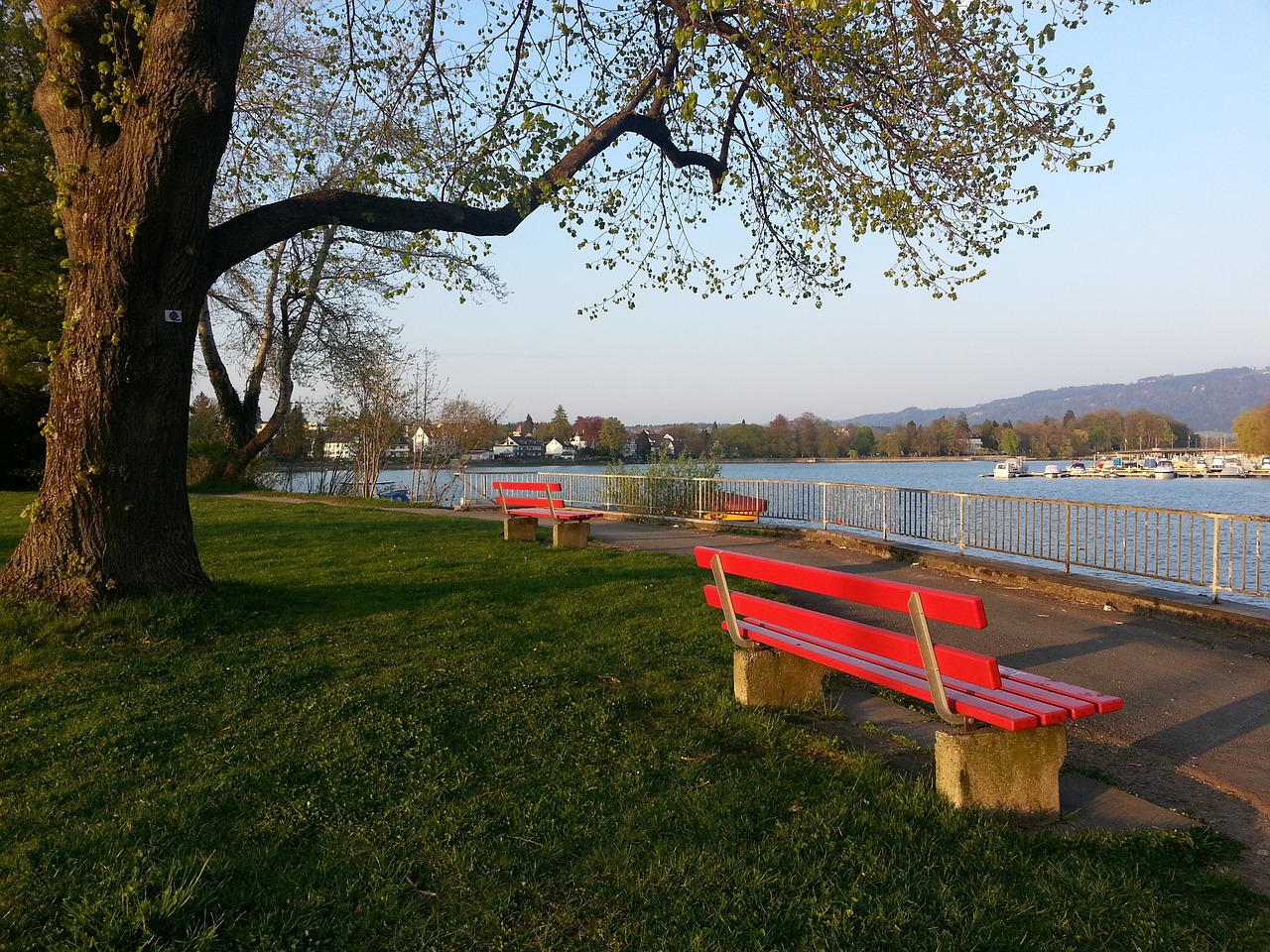 利来接手球 利来接手球